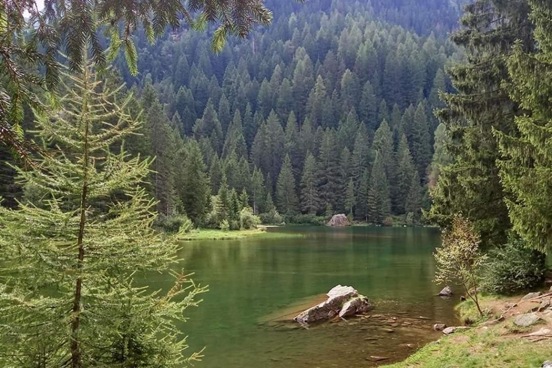 Apartament Sul Cucuzzolo Marilleva Zewnętrze zdjęcie